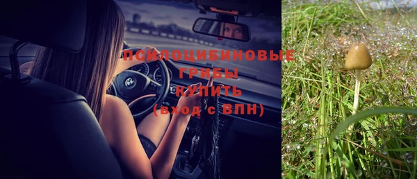 первитин Протвино