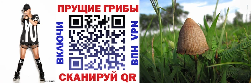 Галлюциногенные грибы прущие грибы  купить  сайты  ссылка на мегу рабочий сайт  Кохма 